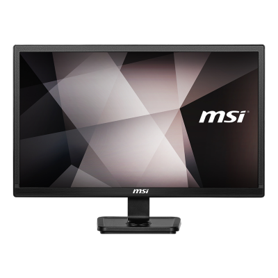 MSI PRO MP221